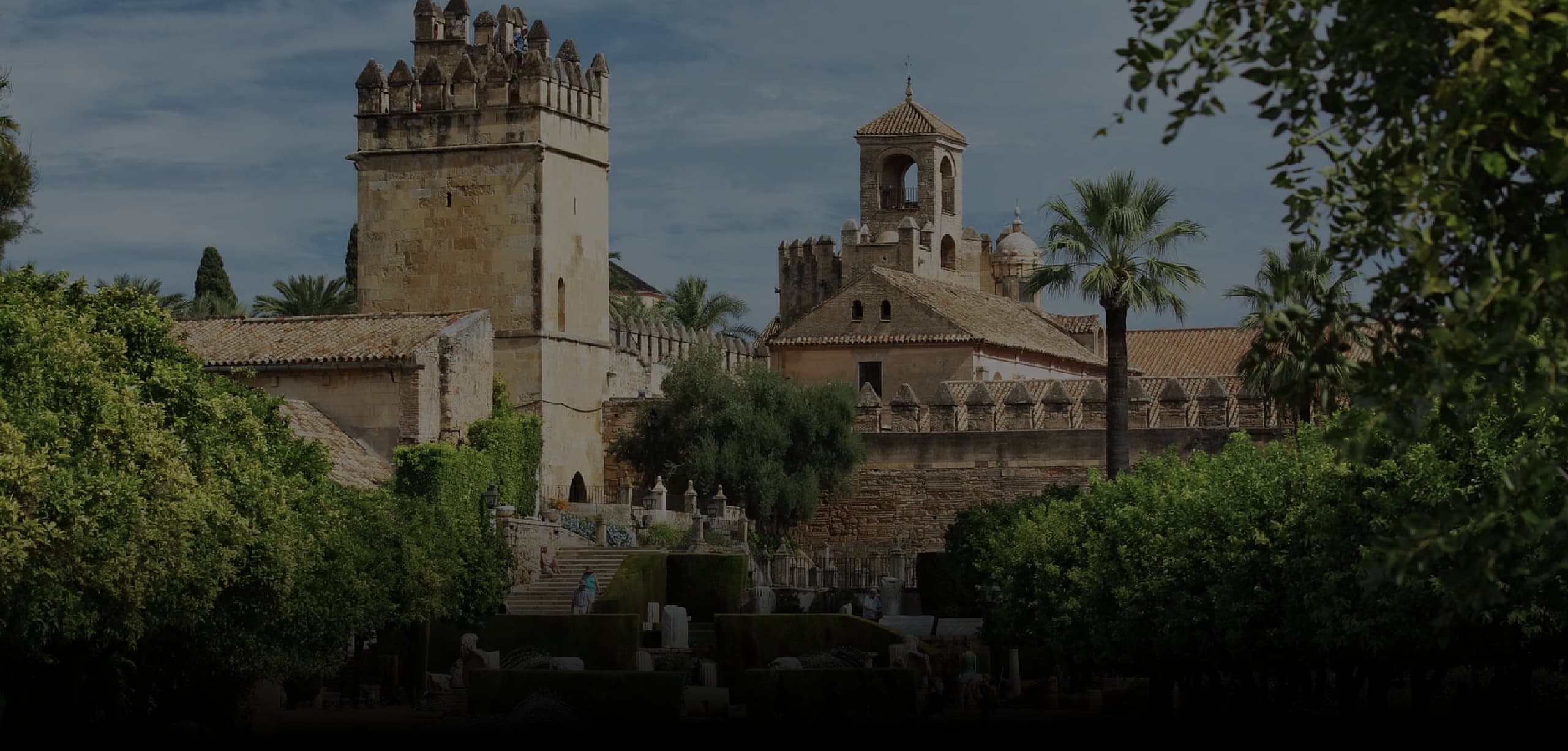Curso teórico-práctico ácido hialurónico en odontología (Córdoba)