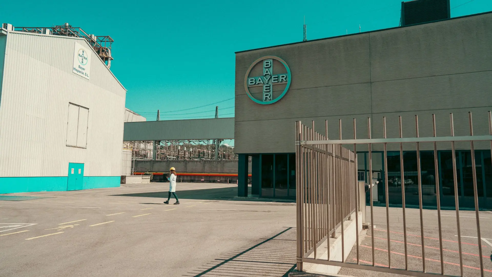 Bayer